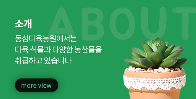 동심다육농원  소개