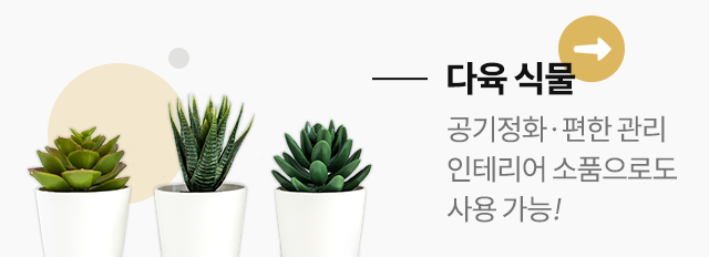 동심다육농원  다육식물