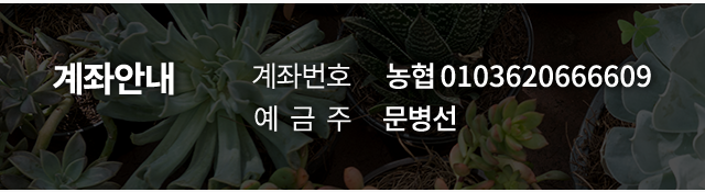 동심다육농원  