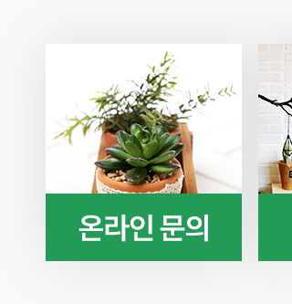동심다육농원  온라인문의